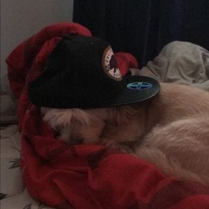 Meet your Posher, Colton